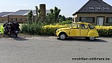 Zandlemig Vlaanderen